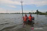 Banjir masih rendam 31 desa di Kudus