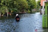 Tujuh warga Kudus, Jateng, meninggal akibat banjir