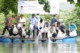 Pemprov Sulsel berikan 200 ribu bibit ikan ke Kabupaten Barru