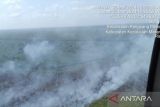 Kebakaran lahan di Meranti meluas, capai 40 hektare lebih