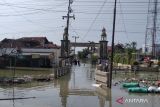 Banjir surut, warga Demak, Jateng, pulang rumah