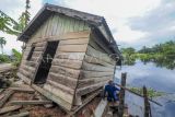 Warga mengambil sisa-sisa kayu di samping rumahnya yang hampir roboh akibat terseret tumpukan gulma atau rumput kumpeh di Tanjung, Kumpeh, Muaro Jambi, Jambi, Senin (25/3/2024). Belasan rumah di bantaran Sungai Kumpeh tersebut roboh akibat terseret tumpukan gulma yang hanyut terbawa arus sungai itu. ANTARA FOTO/Wahdi Septiawan/YU