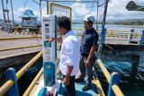 Genjot electrifying marine, penggunaan SPLIKS PLN NTB capai 6 MW