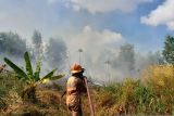 Polres Bintan keluarkan maklumat larangan untuk bakar hutan dan lahan