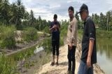 DLH Sulbar tanam 1.300 bibit mangrove di Polewali Mandar