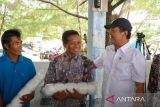 Kampung nelayan modern di Rembang, Jawa Tengah, disiapkan pemerintah