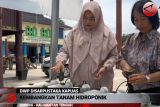 DWP Disarpustaka Kapuas kembangkan tanam hidroponik