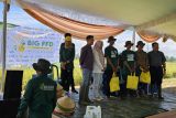 Panen raya demo padi kerja sama BSIP Lampung dengan GGF