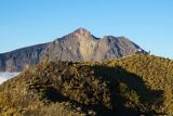 Jalur pendakian Gunung Rinjani dibuka kembali