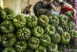 Simpan pisang dan tomat di suhu ruang, bukan di lemari es