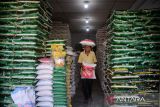 Pekerja memikul beras pesanan pembeli di pusat grosir beras Pasar Kampung Baru,  Banda Aceh, Aceh, Selasa (2/4/2024).  Pedagang  grosir di pasar tradisional  itu menyatakan, permintaan beras untuk  zakat fitrah tahun 2024  sudah mulai ramai dan pembeli lebih banyak memilih beras kualitas medium dari pada beras  premium dengan harga penjualan Rp 170.000 hingga  Rp 215.000 per karung (15/kg)  atau turun kisaran 10 persen dibanding harga sebelumnya. ANTARA FOTO/Ampelsa.