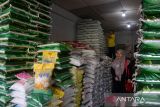 Pengunjung berbelanja beras  di pusat grosir beras Pasar Kampung Baru,  Banda Aceh, Aceh, Selasa (2/4/2024).  Pedagang  grosir di pasar tradisional  itu menyatakan, permintaan beras untuk  zakat fitrah tahun 2024  sudah mulai ramai dan pembeli lebih banyak memilih beras kualitas medium dari pada beras  premium dengan harga penjualan Rp 170.000 hingga  Rp 215.000 per karung (15/kg)  atau turun kisaran 10 persen dibanding harga sebelumnya. ANTARA FOTO/Ampelsa.