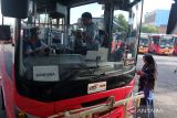 Penumpang memasuki bus Trans Metro Dewata di Terminal Tipe C Ubung, Denpasar, Bali, Rabu (3/4/2024). Organisasi Angkutan Darat (Organda) Bali menyediakan 105 unit bus Trans Metro Dewata untuk melayani para pemudik ke Terminal Tipe A Mengwi dan Bandara I Gusti Ngurah Rai pada arus mudik sekaligus melayani wisatawan saat liburan Lebaran 2024. ANTARA FOTO/Nyoman Hendra Wibowo/wsj.