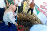 Pembangunan pabrik penggilingan padi berskala besar di Kotim dimulai