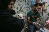 Pemilik Adun Pets Care (kanan) menyiapkan makanan kucing yang dititip di jasa penitipan hewan Adun Pets Care di Banda Aceh, Aceh, Kamis (4/4/2024). Tempat penitipan hewan peliharaan tersebut mulai penuh pemesanan oleh warga yang akan melakukan mudik libur Lebaran Idul Fitri 1445 H, dengan biaya jasa penitipan mulai Rp20 ribu hingga Rp35 ribu per hari. ANTARA FOTO/Khalis Surry