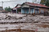 Banjir lahar dingin menerjang kawasan pemukiman di Nagari Bukik Batabuah, Kecamatan Canduang, Agam, Sumatera Barat, Jumat (5/4/2024). Banjir lahar dingin dari Gunung Marapi tersebut menerjang kawasan pemukiman di daerah itu dan sempat memutus akses ruas jalan Bukittinggi - Padang. ANTARA FOTO/Al Fatah/wsj.