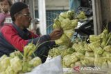 Warga memilih kulit ketupat di Cikole, Kota Sukabumi, Jawa Barat, Senin (8/4/2024). Menjelang lebaran, sejumlah pedagang kulit ketupat musiman mulai menjajakan kulit ketupat dengan harga Rp10 ribu hingga Rp20 ribu per ikat tergantung ukuran. ANTARA FOTO/Henry Purba/agr
