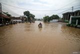 Kendaraan bermotor menerobos banjir yang menggenangi kawasan Jalan Raya Pantura Kraton, Pasuruan, Jawa Timur, Selasa (9/4/2024). Banjir yang diakibatkan curah hujan tinggi sejak Senin (8/4) malam dan meluapnya Sungai Welang tersebut mengakibatkan jalan raya Pantura terendam air setinggi 60 cm. Antara Jatim/Umarul Faruq/mas 