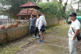 Medan Zoo siap sambut wisatawan libur Idul Fitri