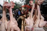 Warga membeli ayam yang dijual di Pasar Cicadas, Bandung, Jawa Barat, Selasa (9/4/2024). Pada H-1 Idul Fitri 1445 hijriah, masyarakat mulai membeli daging ayam yang dijual dengan kisaran harga Rp28.000 hingga Rp140.000 per ekor untuk diolah sebagai menu makanan saat hari raya. ANTARA FOTO/Novrian Arbi/agr