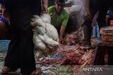 Warga membawa sejumlah ekor ayam untuk diolah di Pasar Cicadas, Bandung, Jawa Barat, Selasa (9/4/2024). Pada H-1 Idul Fitri 1445 hijriah, masyarakat mulai membeli daging ayam yang dijual dengan kisaran harga Rp28.000 hingga Rp140.000 per ekor untuk diolah sebagai menu makanan saat hari raya. ANTARA FOTO/Novrian Arbi/agr