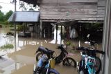 35 rumah warga terendam banjir di Kabupaten Poso