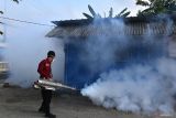 Petugas melakukan pengasapan untuk pencegahan perkembangbiakan nyamuk Aedes aegypti di Kota Madiun, Jawa Timur, Senin (15/4/2024). Pengasapan yang dilakukan petugas gabungan dari Badan Penanggulangan Bencana Daerah (BPBD) dan Dinas Kesehatan tersebut menyusul adanya tiga warga terserang penyakit demam berdarah dengue (DBD) satu diantaranya meninggal akibat virus yang ditularkan nyamuk Aedes Aegypti. Antara Jatim/Siswowidodo/um 