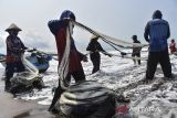 Nelayan tradisional menarik tambang jaring 'ered' dengan panjang 600 meter di pesisir Pantai Timur, Kabupaten Pangandaran, Jawa Barat, Selasa (16/4/2024). Kementerian Kelautan dan Perikanan (KKP) bersama US Agency for International Development (USAID) mendorong peran perempuan dan disabilitas dalam mengimplementasikan program ekonomi biru atau praktik kelautan yang berkelanjutan dengan alokasi anggaran sebesar Rp662 miliar. ANTARA FOTO/Adeng Bustomi/agr