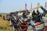 Kepala Staf Angkatan Darat (Kasad) Jenderal TNI Maruli Simanjuntak (tengah) bersama Pangkostrad Letjen TNI Saleh Mustafa (kanan) memanen padi dengan menggunakan mesin 