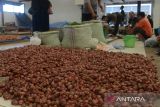 Pengunjung  berbelanja  bawang merah di Pasar Al-Mahirah,  Desa Lamdingin, Banda Aceh, Aceh, Kamis (18/4/2024).  Menurut para pedagang ,  harga bawang merah sejak sepekan terakhir terus bergerak naik dan hingga saat ini harganya naik drastis kisaran Rp65.000 hingga Rp70.000 per kilogram menurut kualitasnya dari sebelumnya Rp45.000 per kilogram karena pasokan barang berkurang. ANTARA FOTO/Ampelsa.