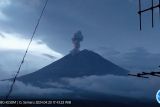 Gunung Semeru, Lumajang, Jatim, meletus