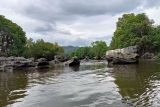 BKSDA Palopo imbau warga tak beraktivitas di sungai yang ada buaya