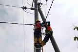 PLN rampungkan jaringan listrik lima desa di tiga kabupaten di NTT