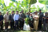 Gerakan Sinergi Reforma Agraria Kementerian ATR/BPN digelar di Sukabumi