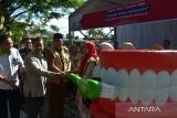 Sebanyak 125 ribu siswa di Padang dapat sosialisasi kesehatan gigi
