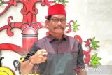 Upaya pengembangan kebudayaan di Kapuas melalui festival budaya diapresiasi