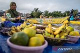 Pasar Terapung Lok Baintan Kalsel. Seorang pedagang menjajakan dagangannya di atas perahu (jukung) di Pasar Terapung Lok Baintan, Kabupaten Banjar, Kalimantan Selatan, Rabu (24/4/2023). Pasar yang berada di aliran Sungai Martapura tersebut merupakan pasar tradisional yang menjual beragam dagangan hasil produksi pertanian dan perkebunan masyarakat setempat dari atas Jukung. ANTARA/Bayu Pratama S.