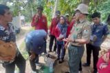 Dishut Sulbar bina petani kembangkan usaha lebah madu