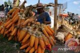 Pemerintah tetapkan HAP jagung naik menjadi Rp5.000