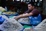 Aktivitas jual beli di Sentra Ikan Teri, Pusat Pasar Medan, Sumatera Utara, Kamis (25/4/2024). Berbagai jenis ikan teri tersebut dijual Rp75.000 hingga Rp160.000 per kilogram dan menjadi salah satu oleh-oleh khas Kota Medan. ANTARA FOTO/Fransisco Carolio