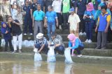 Pemkab OKU sebar 200 ribu ekor bibit ikan air tawar