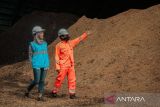 PLN-BI NTB manfaatkan limbah uang kertas jadi bahan Co-firing di PLTU Jeranjang
