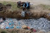 Seorang buruh pelabuhan membuang ikan hasil tangkapan nelayan ke dalam lubang  sebelum dikubur di kawasan Pelabuhan Perikanan Samudera (PPS) , Lampulo, Banda Aceh, Aceh, Kamis (2/5/2024).  Menurut nelayan setempat, sekitar tiga ton ikan dencis dan ikan tongkol kecil terpaksa dibuang dengan cara dikubur dan kemungkinan jumlahnya bertambah karena hasil tangkapan ikan melimpah dan harga jual  anjlok kisaran Rp1.000 hingga Rp3.000 per kilogram, sedangkan  dam kondisi normal harga ikan  tersebut kisaran Rp10.000 hingga Rp15.000 per kilogram. ANTARA FOTO/Ampelsa.