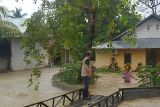 Dua daerah di Sulteng terendam banjir