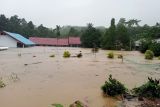 BPBD Luwu: Tujuh meninggal dan ribuan rumah terdampak banjir