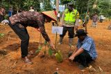 Kedutaan Besar Kanada kunjungi penerapan teknik agroforestri di Banyuasin