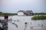 Warga menerobos banjir rob di Desa eretan wetan, Kandanghaur, Indramayu, Jawa Barat, Senin (6/5/2024). Banjir rob tersebut mengakibatkan sejumlah rumah warga di pesisir pantai terendam setinggi 60-90 centimeter dan membuat aktivitas warga terhambat. ANTARA FOTO/Dedhez Anggara/agr