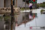 Warga menerobos banjir rob di Desa eretan wetan, Kandanghaur, Indramayu, Jawa Barat, Senin (6/5/2024). Banjir rob tersebut mengakibatkan sejumlah rumah warga di pesisir pantai terendam setinggi 60-90 centimeter dan membuat aktivitas warga terhambat. ANTARA FOTO/Dedhez Anggara/agr