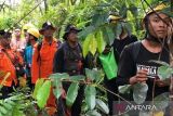 Pencarian seorang mahasiswa Unlam hilang di Kapuas masih berlanjut