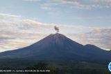 Gunung Semeru kembali erupsi dan disertai letusan abu vulkanik